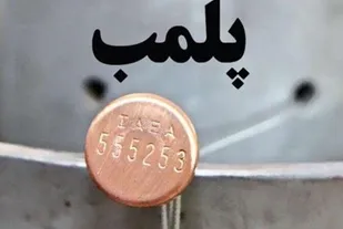 پلمپ 23 واحد صنفی متخلف در بردسکن