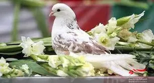 رزمایش "رزق شهید" در شهرستان بجنورد برگزار می شود