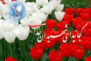 مصاحبه ای با مادرشهید جواد توسلی&zwnj;نیا