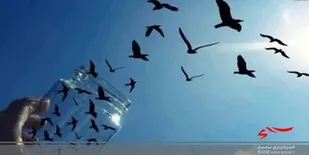 ۱۲ زندانی بدهکار مالی از زندان البرز آزاد شدند