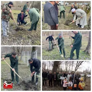 غرس ۲۰۰۰ اصله نهال در شهرستان نور