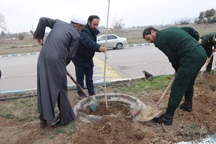 کاشت بیش از دویست نهال درخت در لشکر پنج نصر مشهد