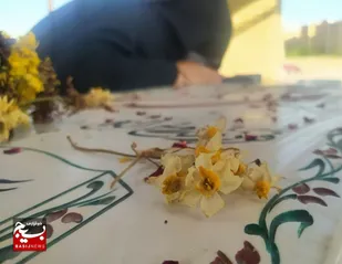 تجدید میثاق بانوان بسیجی گردان کوثر منطقه پردیسان قم با &laquo;شهید گمنام&raquo;