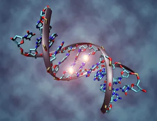 وقتی DNA الگوی ساخت پرقدرت&zwnj;ترین حافظه جهانی می&zwnj;شود/ گامی دیگر برای کشف رازهای سر به مهر آفرینش