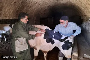 برگزاری رزمایش جهاد دامپزشکی در روستاهای همدان