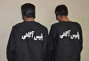 ۲ عامل اصلی ایجاد رعب و وحشت در سلطان آباد دستگیر شدند