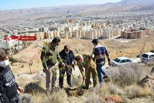 مراسم کاشت نهال به نام شهدا