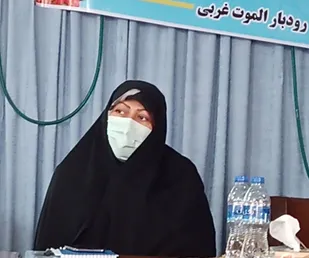 خبرهای خوش در حوزه انرژی در مناطق طارم سفلی و الموت در راه است