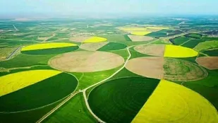بازگشت کشت و صنعت مغان به بیت&zwnj;المال