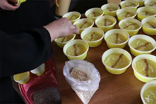 پخت و توزیع 600 ظرف شله زرد توسط پایگاه شهدای محراب و گروه جهادی رضوان