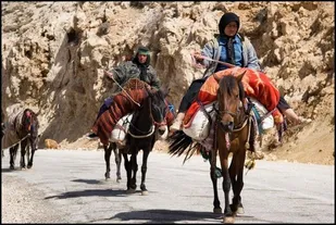 تسهیل عبور و مرور ۵۰۰ خانوار عشایری با بهسازی ایلراه باباروزبهان لالی