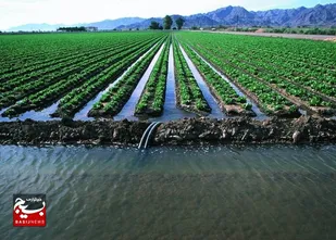 مشکلات روستای بابک بیله&zwnj;سوار ریشه در بی&zwnj;توجهی دارد