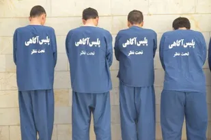 پایان کار سارقان با 10 فقره سرقت در فیروزکوه