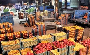 میدان میوه و تره بار یاسوج همچنان سرگردان/ بازاری رها شده و میوه هایی با فاکتور شیراز