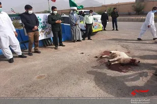 ذبح یک راس گوسفند به مناسبت عید غدیر در مهرستان