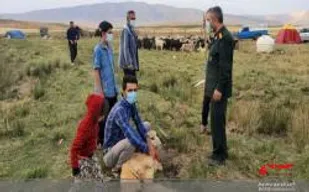 475 راس دام توسط عشایر بوشهر قربانی شد