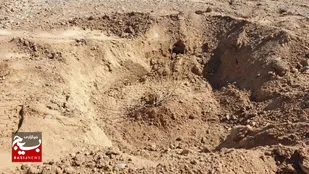 آیین کاشت ۳ هزار نهال در دشت نواران قم