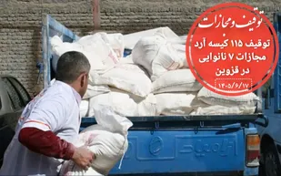 عرضه آرد خارج از ضوابط تعیینی برای ۷ متخلف در قزوین گران تمام شد
