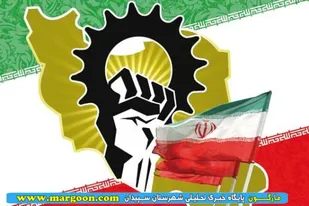 دلالان، سود فروشی برای تولید کننده نمی&zwnj;گذارند