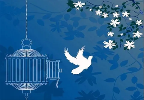 ۷ میلیارد تومان برای آزادی زندانیان در استان فارس جمع‌آوری شد