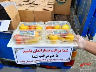توزیع ۵۰۰ بسته میوه بین کادر درمانی چالوس