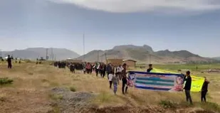 همایش پیاده روی خانوادگی در دهستان ریگ