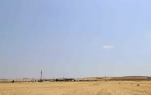 پیش&zwnj;بینی برداشت ۶۰ هزار تن گندم در هندیجان/ آتش زدن بقایای گیاهی موجب تضعیف خاک می&zwnj;شود
