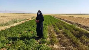 "بی بی نرگس" باغ گل ارادت دخترشهید به پدرش و امام زمان(عج)