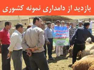بازدید دامداران استان از دامداری نمونه کشوری مهندس نامدار پور