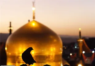ویژه برنامه های سالروز شهادت امام جواد(ع) در حرم مطهر رضوی