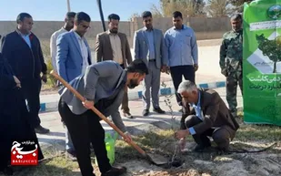 طرح کاشت یک میلیارد اصله درخت در سیستان و بلوچستان اجرا شد