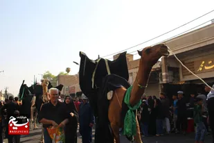 بازسازی بازگشت کاروان اسرای دشت نینوا از شام به کربلا در شوش