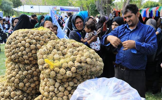 ظرفیت‌های کشاورزی تفرش در قاب جشنواره گردوی روستای طاد