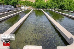 صادرات آبزیان خوزستان ۱۲۴ هزار دلار ارزآوری داشت