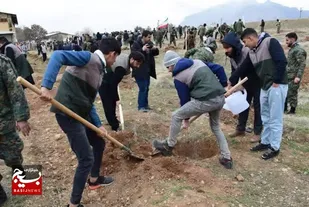 بکارگیری توان بسیج سازندگی در اجرای طرح کاشت 150 هزار درخت در کرمانشاه