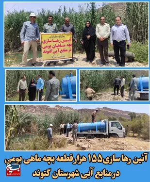 رها سازی ۱۵۵ هزار قطعه بچه ماهی در منابع ابی شهرستان گتوند