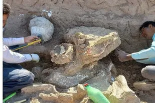 ضرورت کاوش و شناسایی مناطق فسیل دار