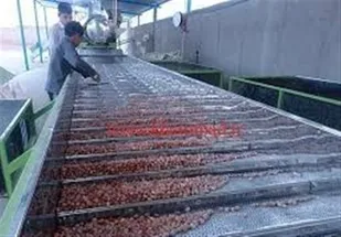 مجموعه بازرگانی فرآوری پسته در خاتم ایجاد می&zwnj;شود