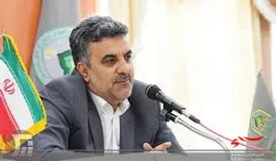 یک میلیون نهال رایگان در لرستان توزیع می&zwnj;شود