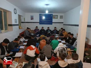 زر و نور