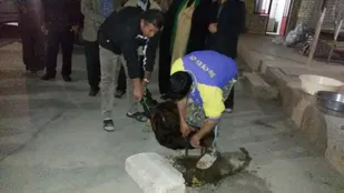 برگزاری مراسم قربانی برای سلامتی امام زمان(عج) و مدافعان حرم در شاهرود+عکس