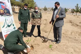 غرس نهال در سپاه استان سمنان