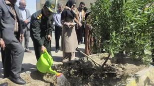 کاشت نهال؛ تداوم فرهنگ ایثار و آبادانی در هامون