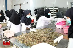 ایجاد ۴ هنرستان وابسته به شیلات در خوزستان در دستور کار