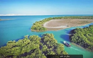 تولیدیک میلیون نهال  در هرمزگان