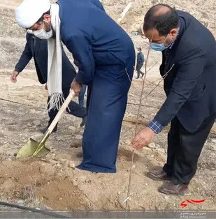 غرس نهال توسط مجموعه سپاه شیروان