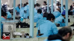 اشتغال ۲۰۰ نفر از زندانیان پاکدشتی درمؤسسات گل وگياه
