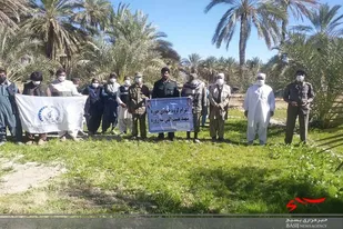 بماسبت ایام الله دهه مبارک فجر درختان نخل خرما در هوشک هرس شد