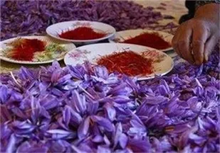 پشتکار،شرط ورود به حوزه اقتصاد مقاومتی