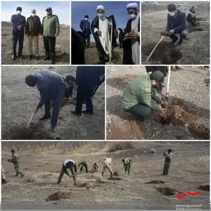 اجرای پویش ایران سرسبز با شعار "هرایرانی یک درخت" و "به یاد هر شهید۱۰۰۰ درخت"